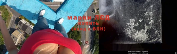 мяу мяу мука Арсеньев